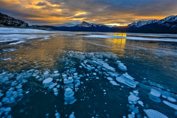 Foto von David Wirzba (unsplash.com) Foto von David Wirzba (unsplash.com)