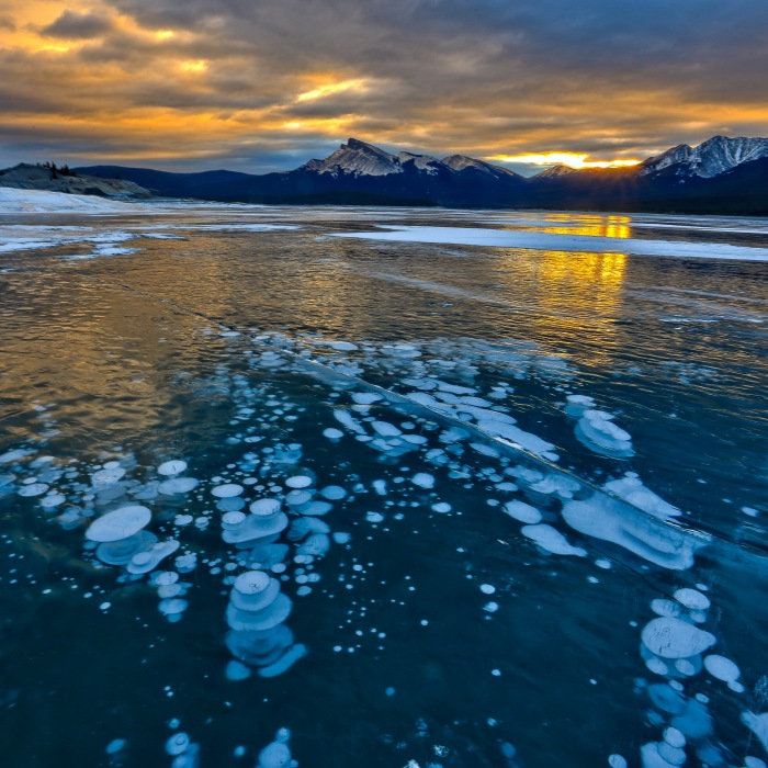 Foto von David Wirzba (unsplash.com) Foto von David Wirzba (unsplash.com)