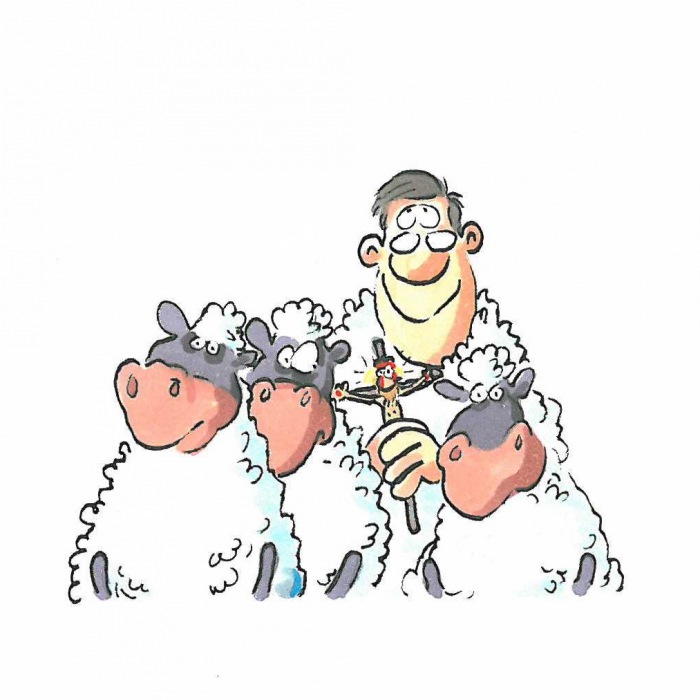 Wulff im Schafspelz / Zeichnung: Ralf König